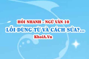 5 Lỗi dùng từ và cách sửa? Ví dụ? Ngữ văn lớp 10